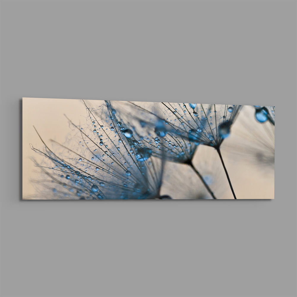 Macro Dandelion Glass Wall Art (36"x14") lifestyle preview E