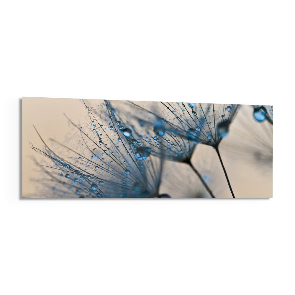 Macro Dandelion Glass Wall Art (36"x14") lifestyle preview F