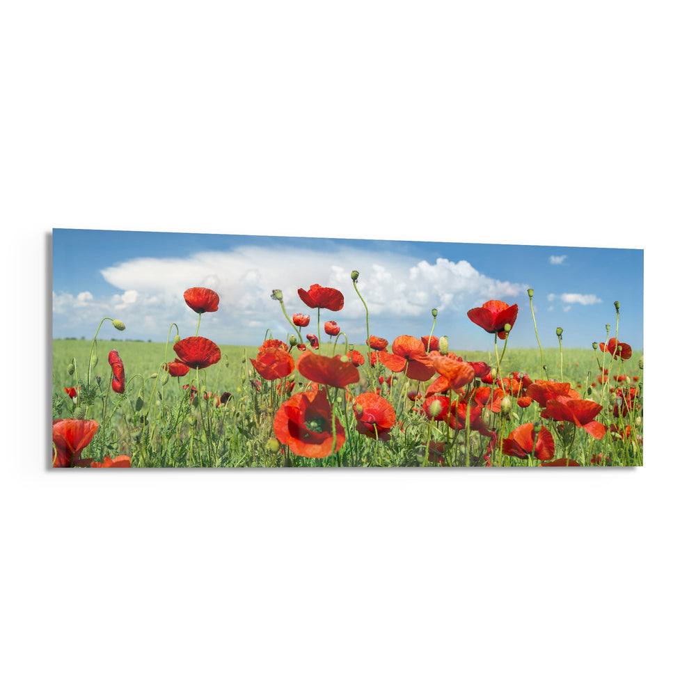 Poppy Flower Glass Wall Art (36"x14") lifestyle preview F