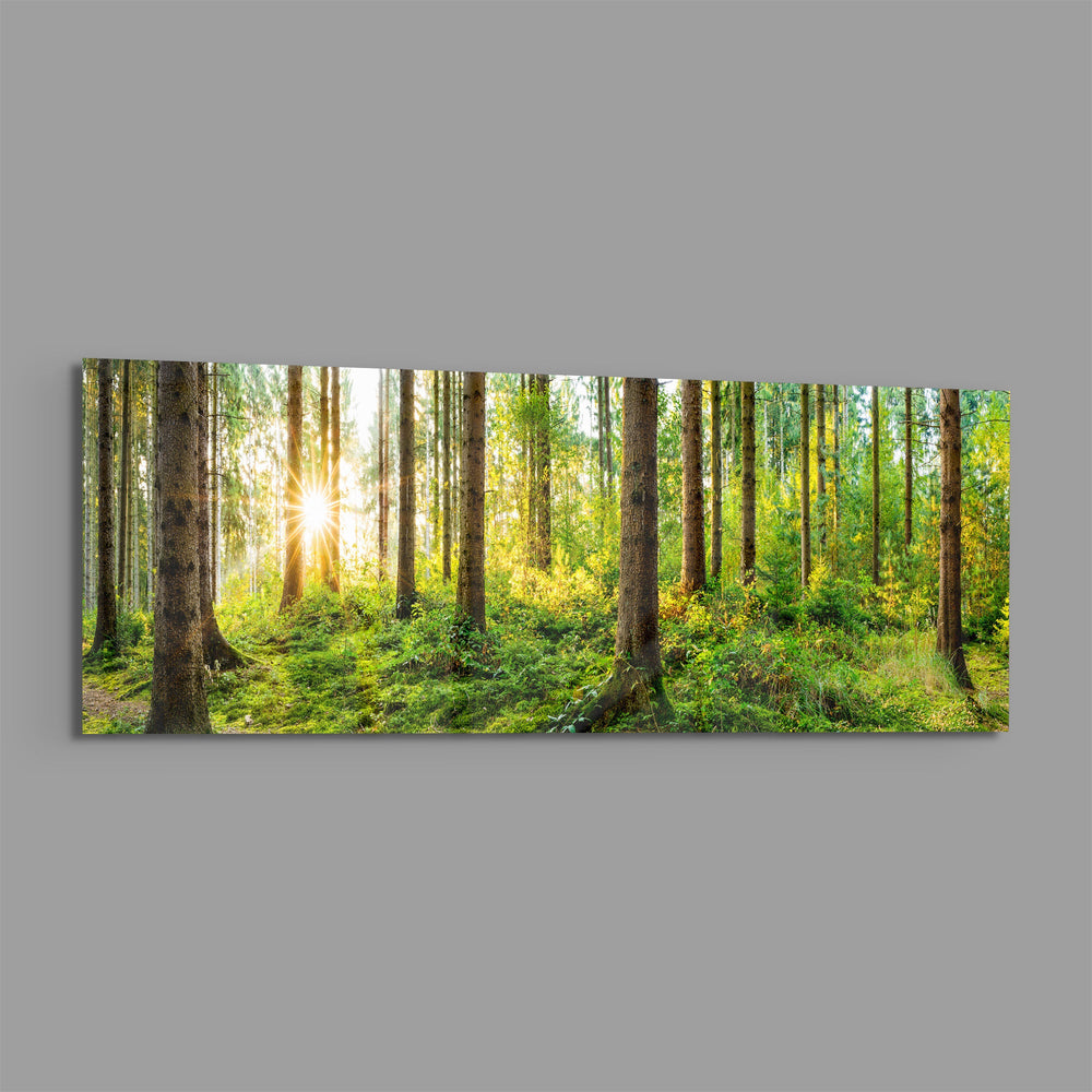 Starburst Sun Mossy Pine Forest Glass Wall Art lifestyle preview E