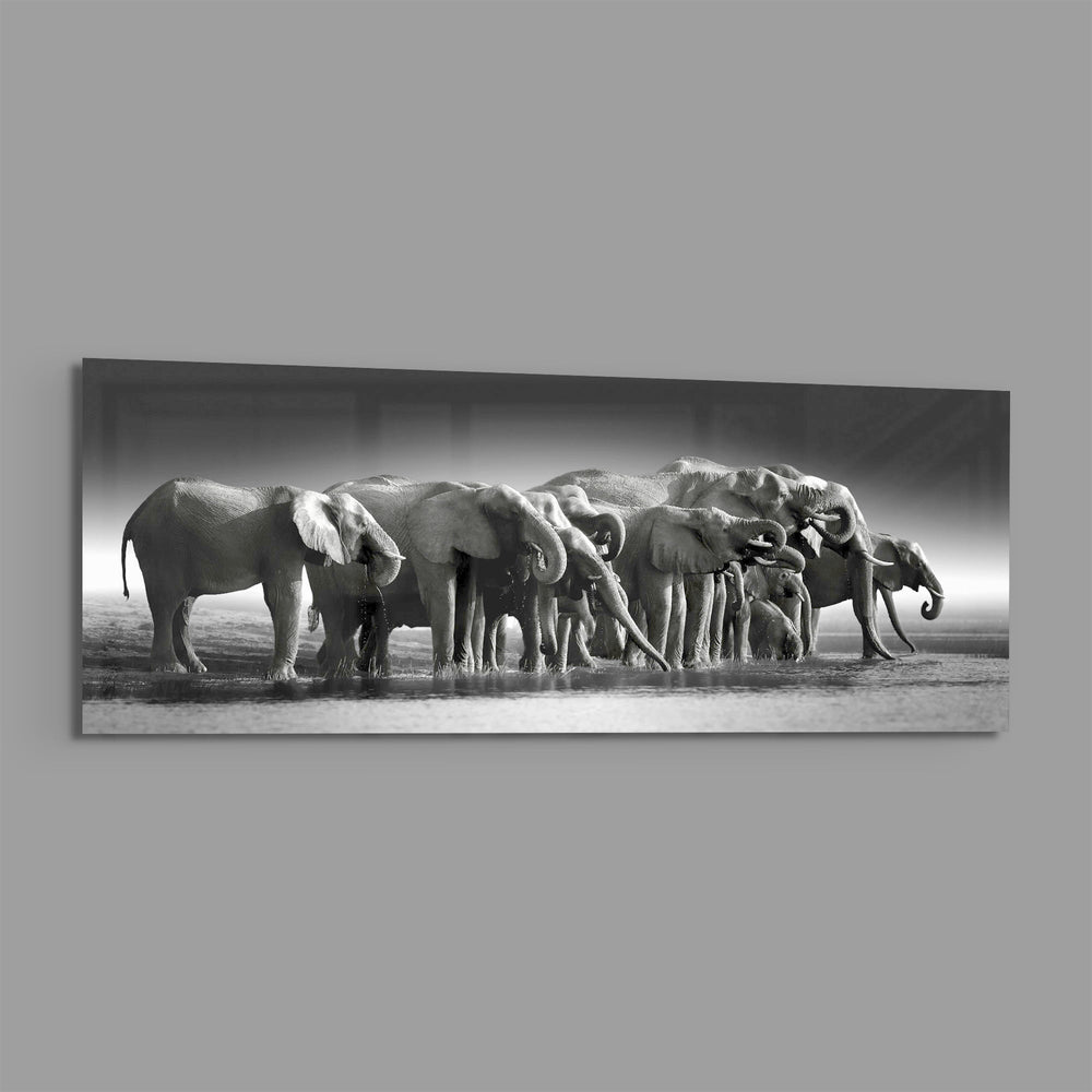 A herd of African elephants gathered at a waterline in soft black and white. panoramic glass wall art E