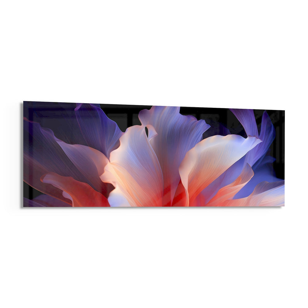 A macro abstract flower with flowing violet, blue and coral-pink petals opening against a deep black background panoramic glass wall art F