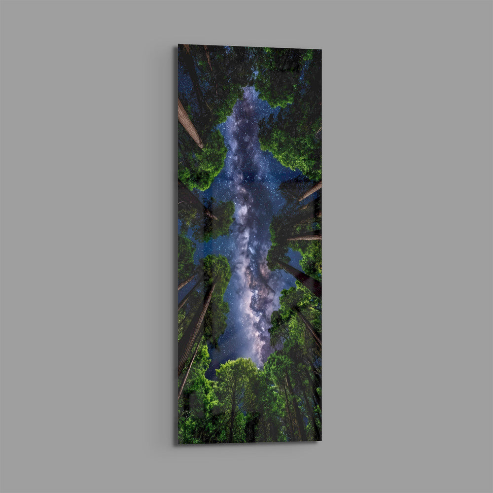 Upward view through towering forest trees to a glowing Milky Way in a star-filled sky. panoramic glass wall art E