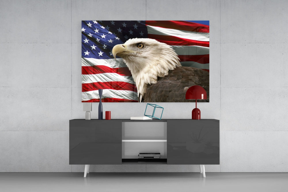 American Eagle panel catching directional light to reveal its patriotic gravity