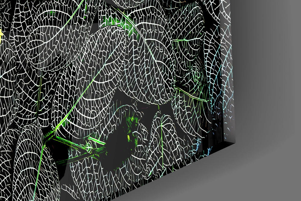Close-up detail of the heart-shaped leaves and lime veins behind glass