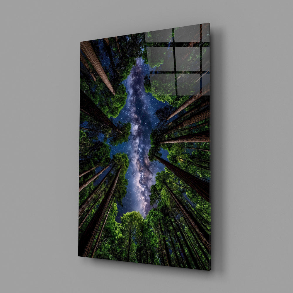 a redwood canopy opening to the Milky Way glass wall art angled to show the polished tempered glass panel