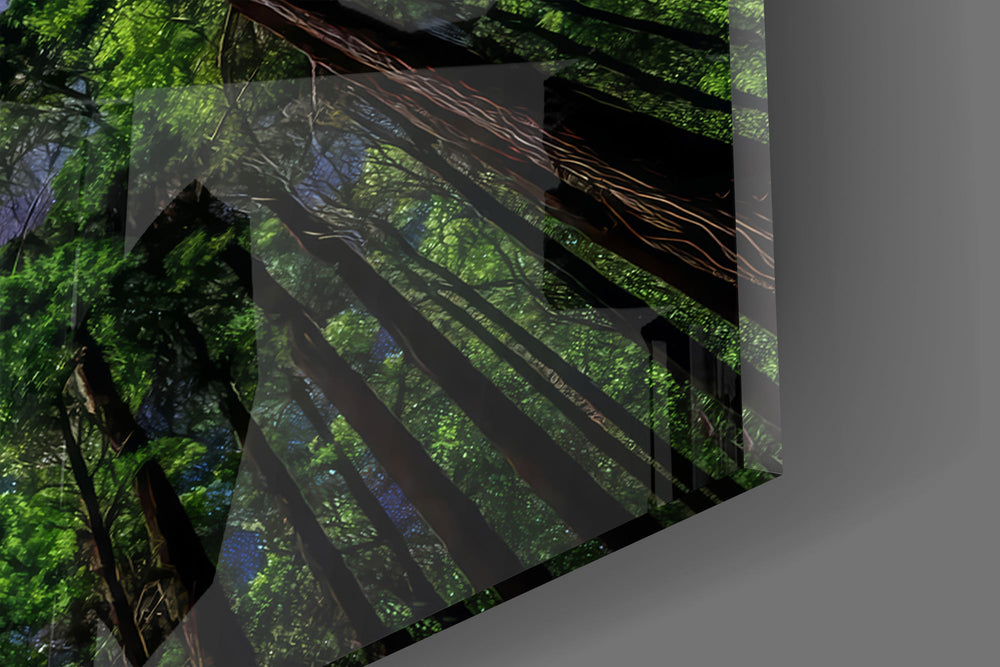 Close-up detail of the star-dusted gap between the treetops on the glass surface
