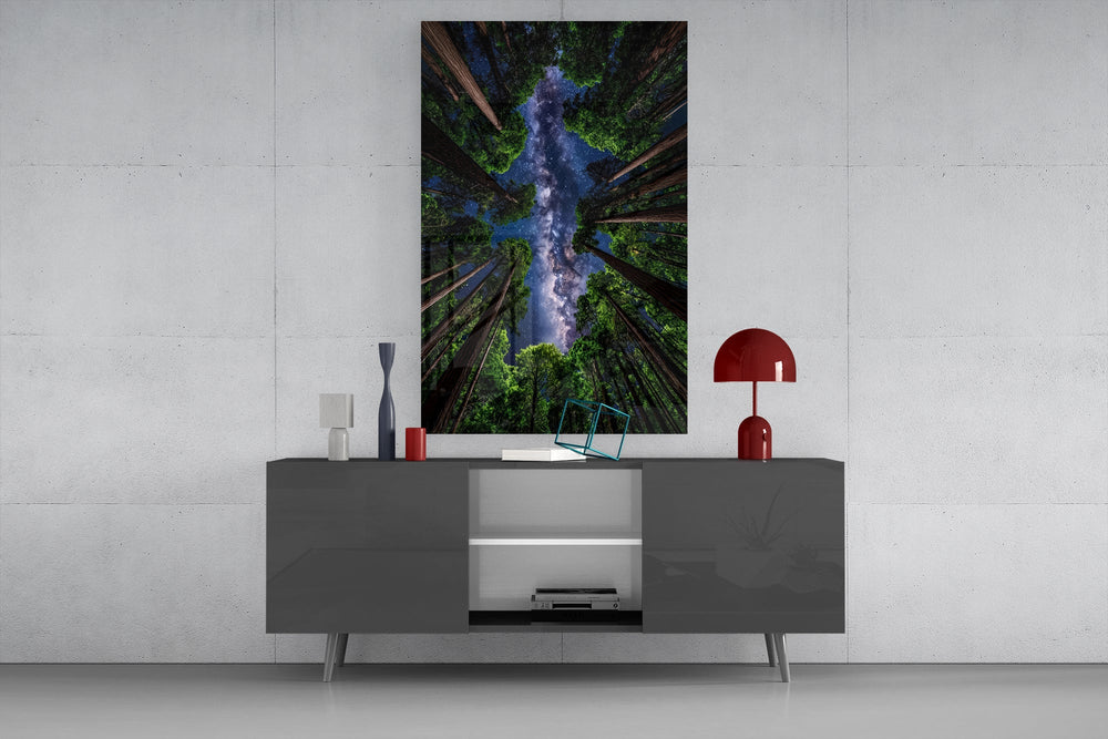 a redwood canopy opening to the Milky Way glass wall art displayed above a console in a designer interior
