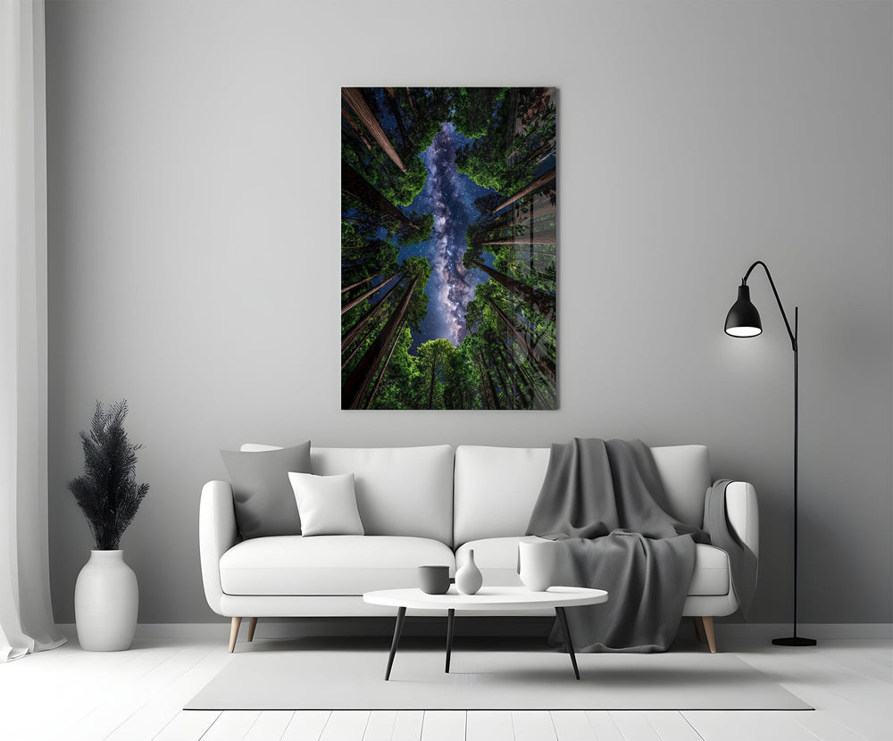 a redwood canopy opening to the Milky Way panel bringing character to a minimalist living room wall