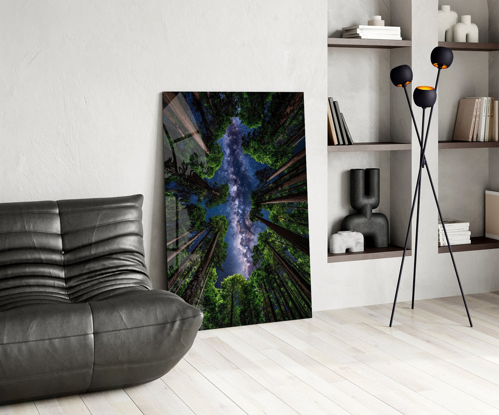 a redwood canopy opening to the Milky Way glass wall art leaning beside a dark leather sofa