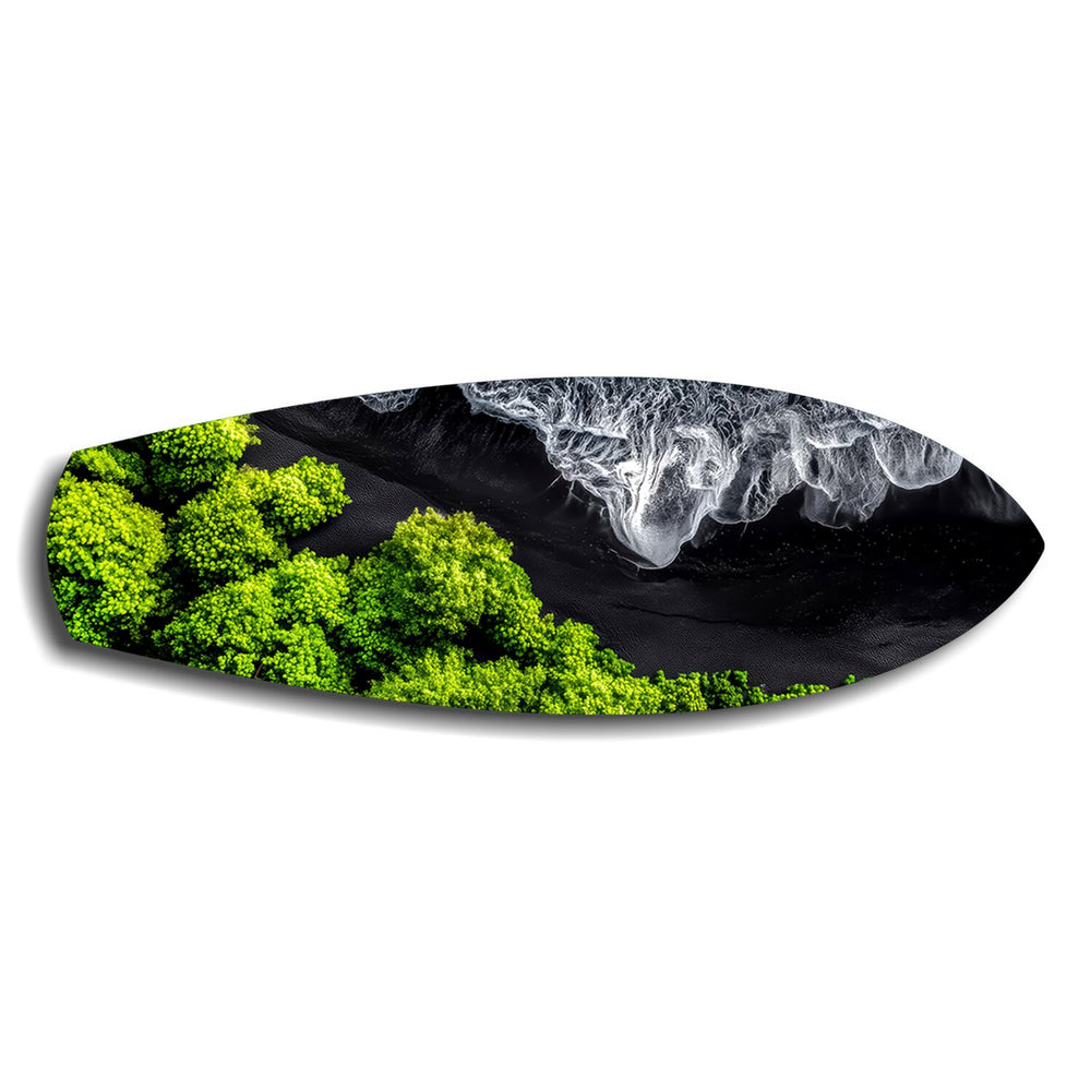 Black Sand Beach Aerial Forest Glass Wall Art.