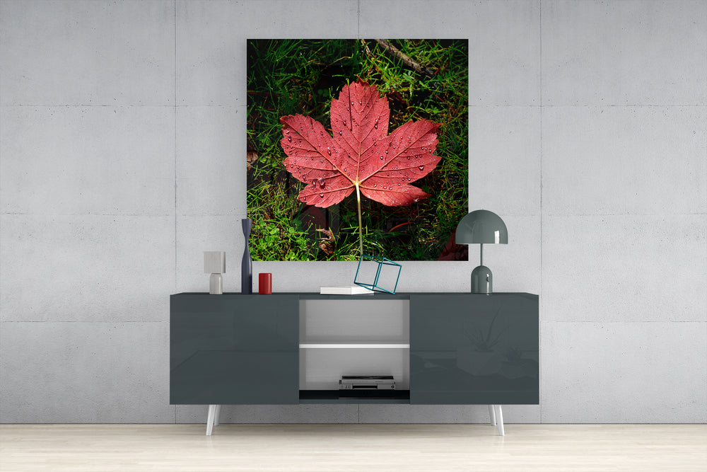 Alone Leaf Glass Wall Art