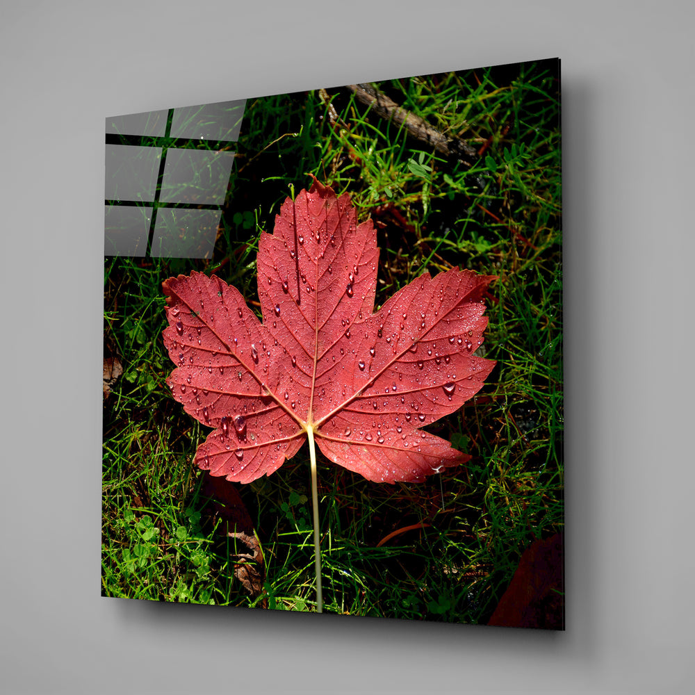 Alone Leaf Glass Wall Art