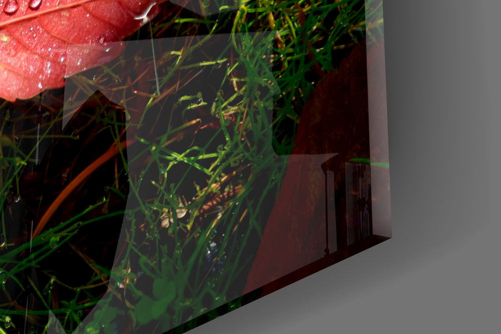 Alone Leaf Glass Wall Art