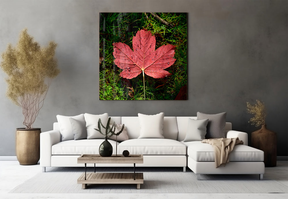 Alone Leaf Glass Wall Art