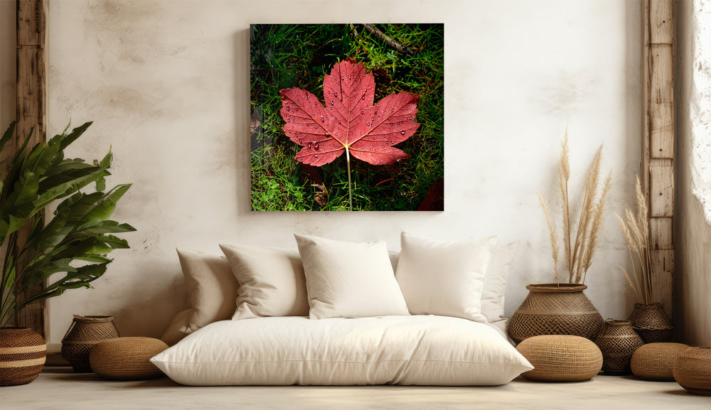 Alone Leaf Glass Wall Art