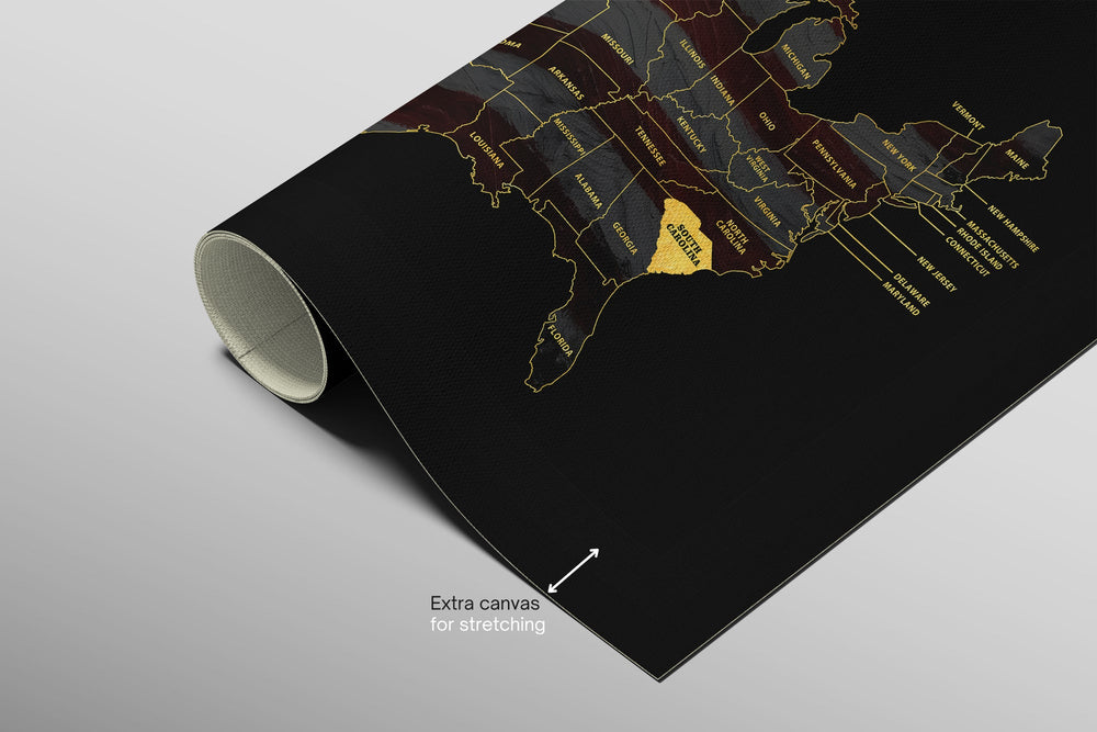 South Carolina State Map — Haptic 3D Embossed Metal Wall Art rolled canvas preview B