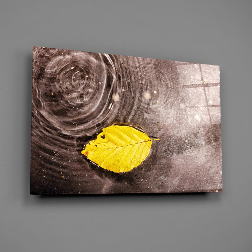 Close-up of the yellow autumn leaf resting on rain-rippled water