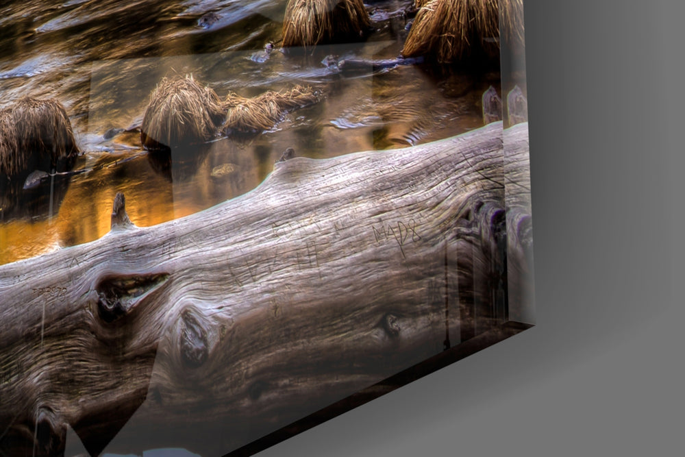 Lake panel catching daylight to reveal its photographic depth