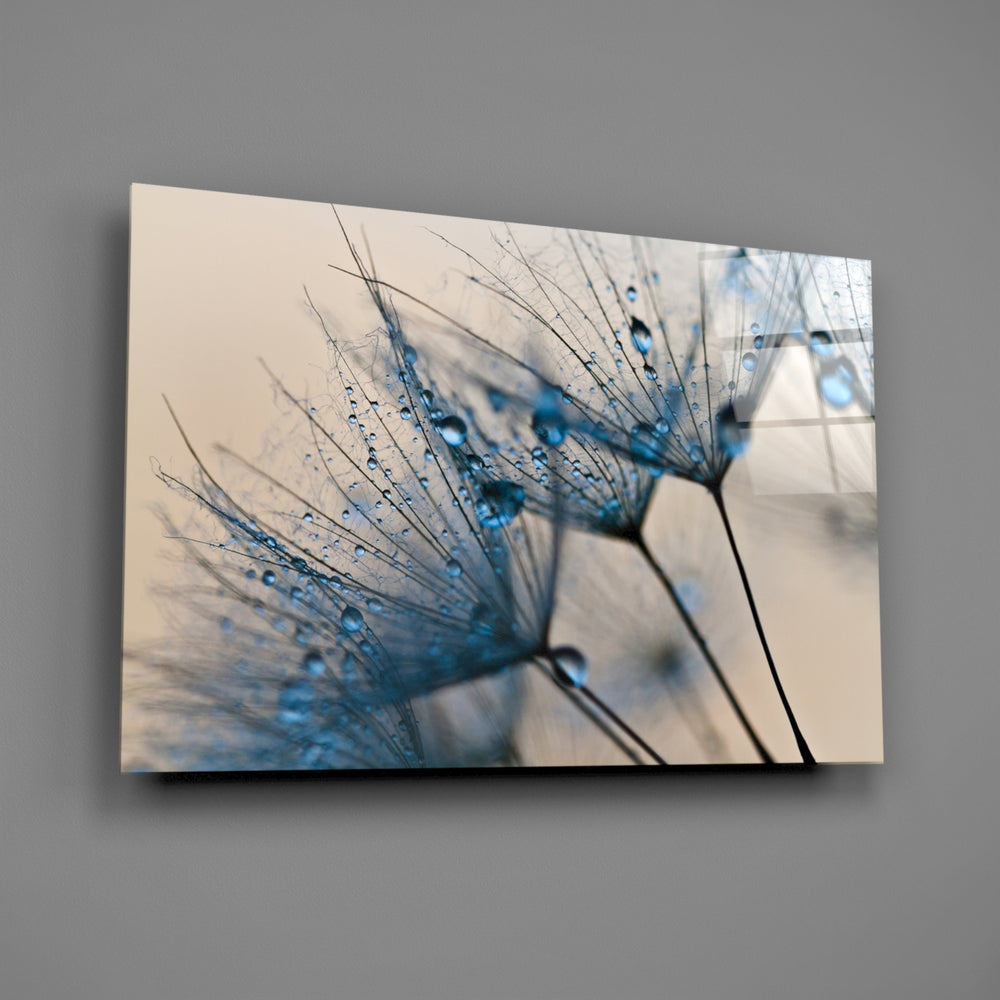 Close-up detail of water droplets on dandelion seed filaments