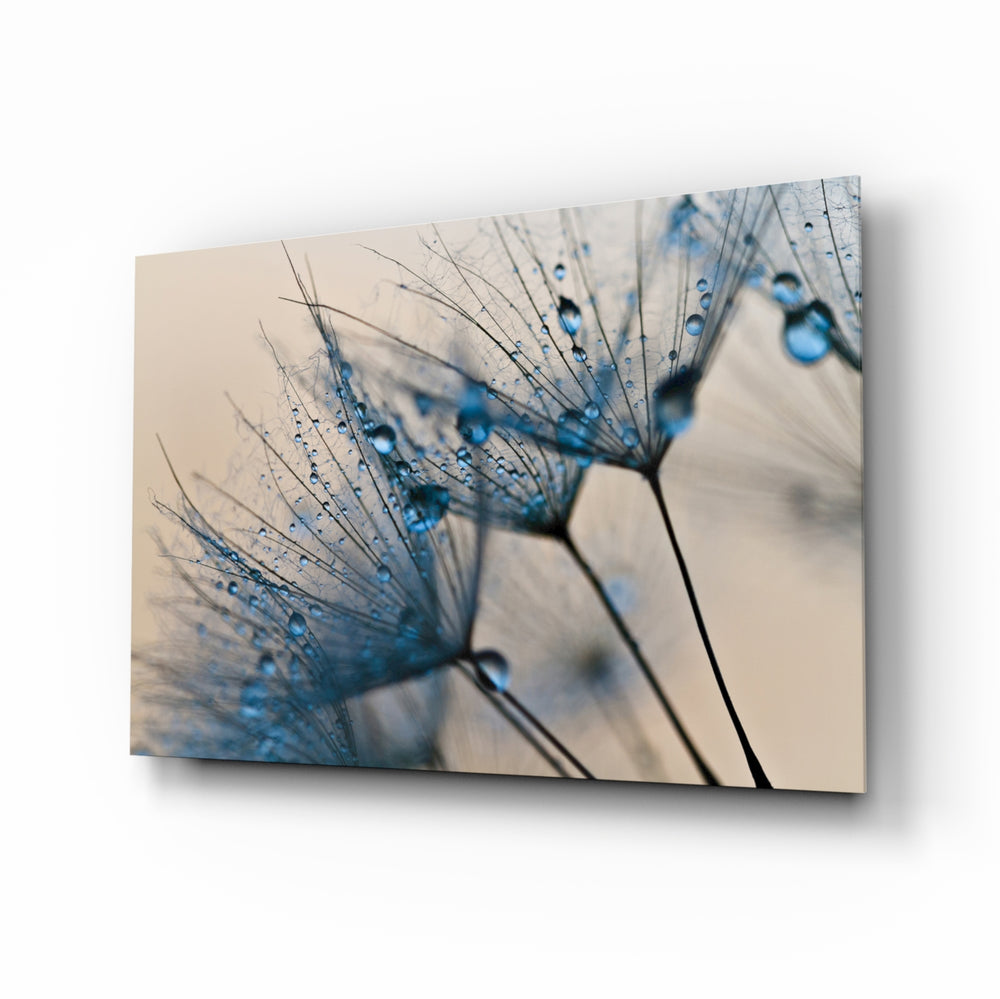 Macro dandelion panel bringing botanical calm to a contemporary living space