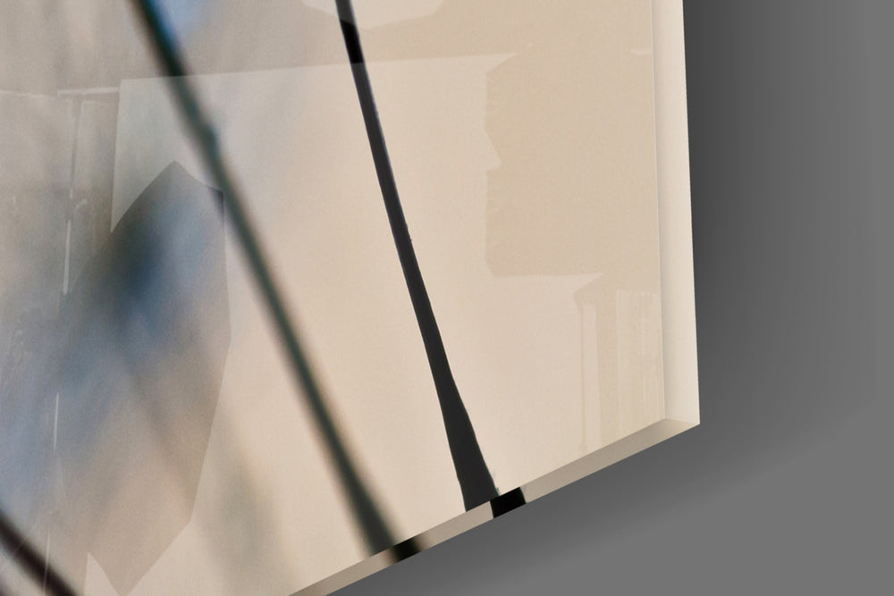 Flower panel catching soft light to reveal its macro precision