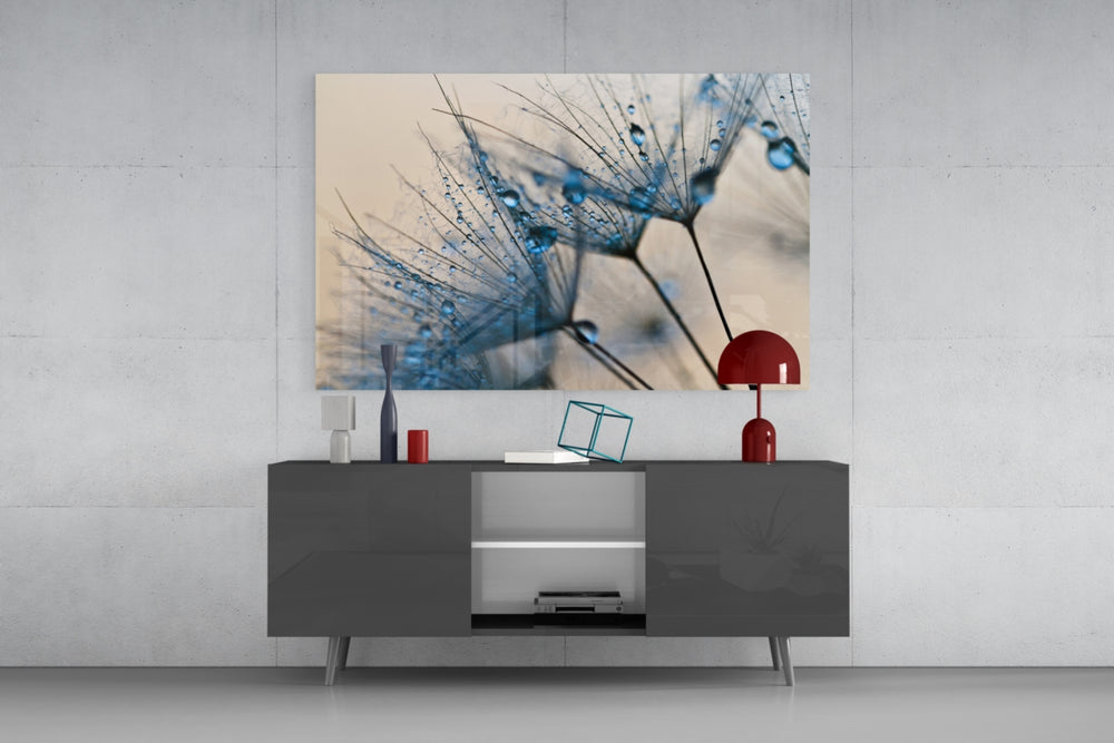 Dandelion seeds water drops glass wall art flat view