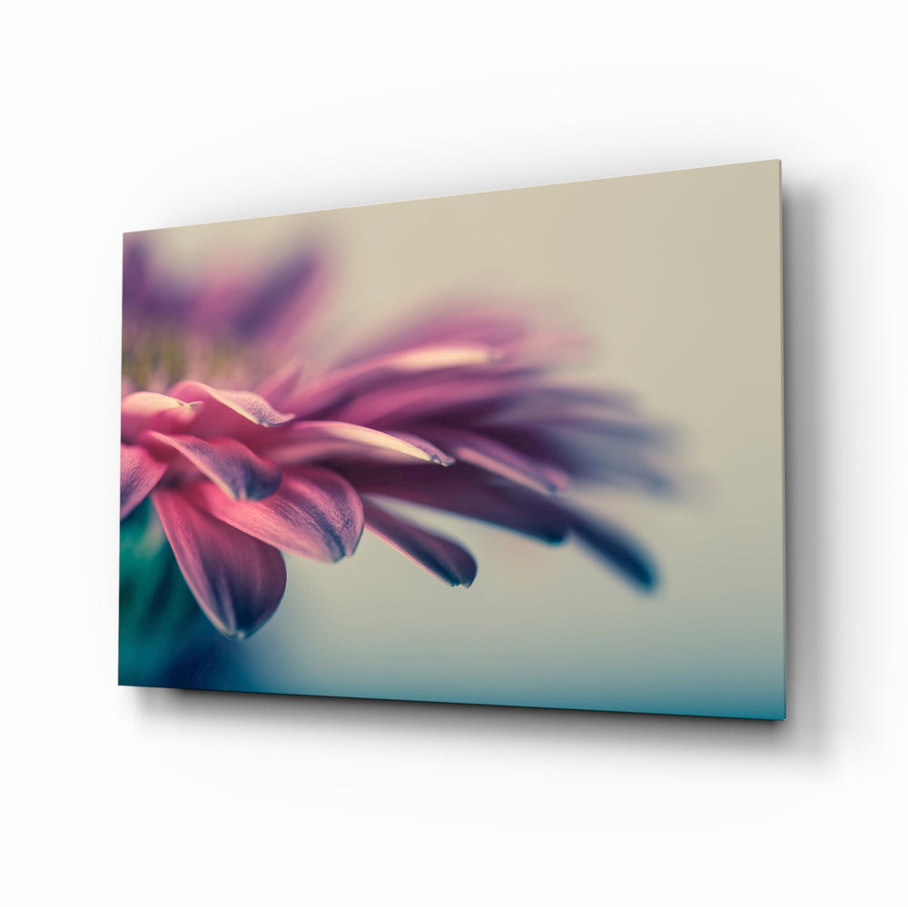 Macro gerbera panel bringing soft romance to a contemporary living space