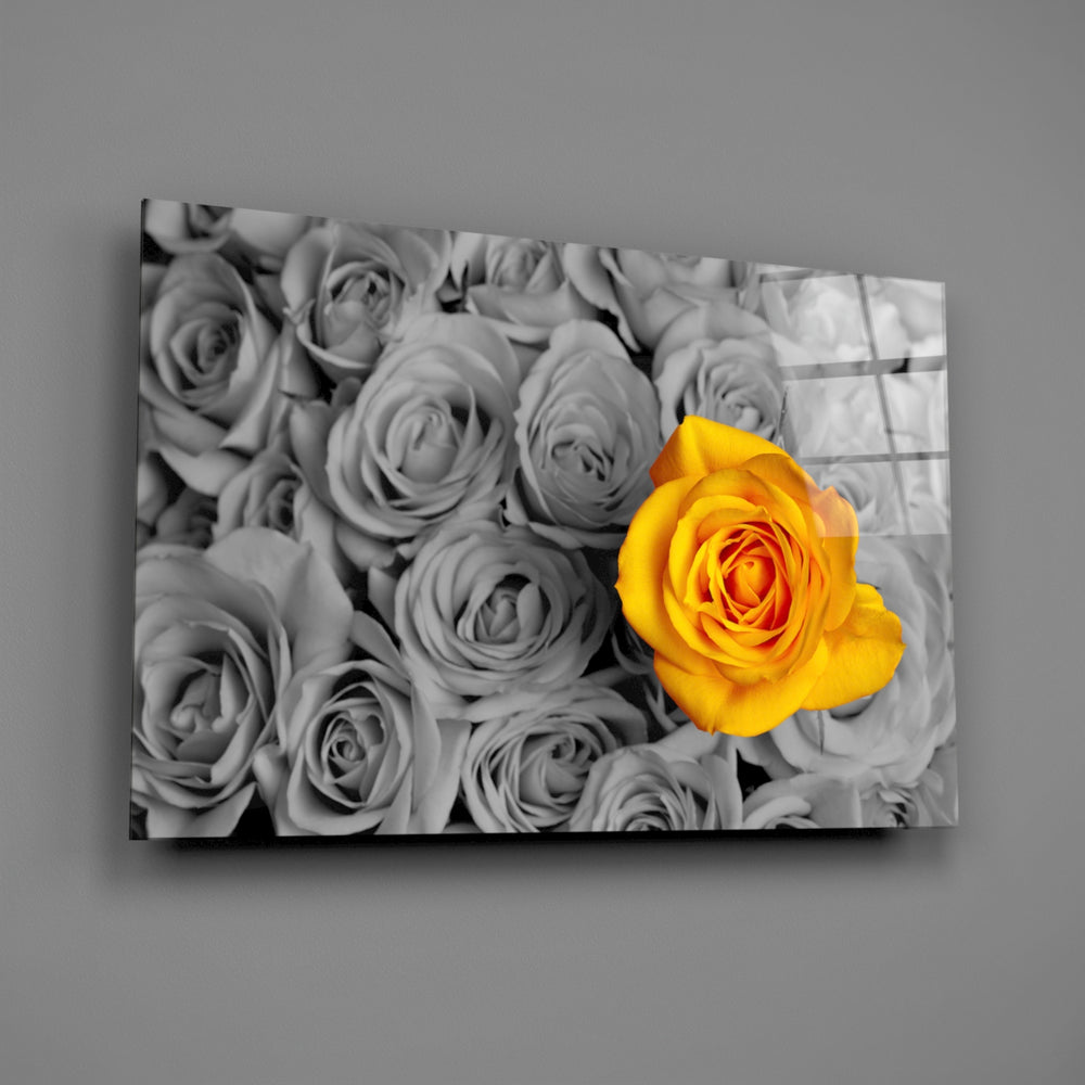 Close-up detail of the yellow rose standing out from grayscale petals