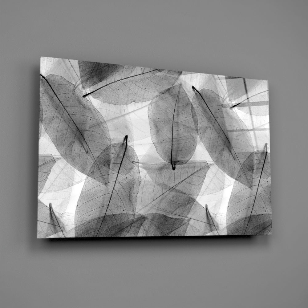 Close-up detail of translucent leaf veins in layered monochrome
