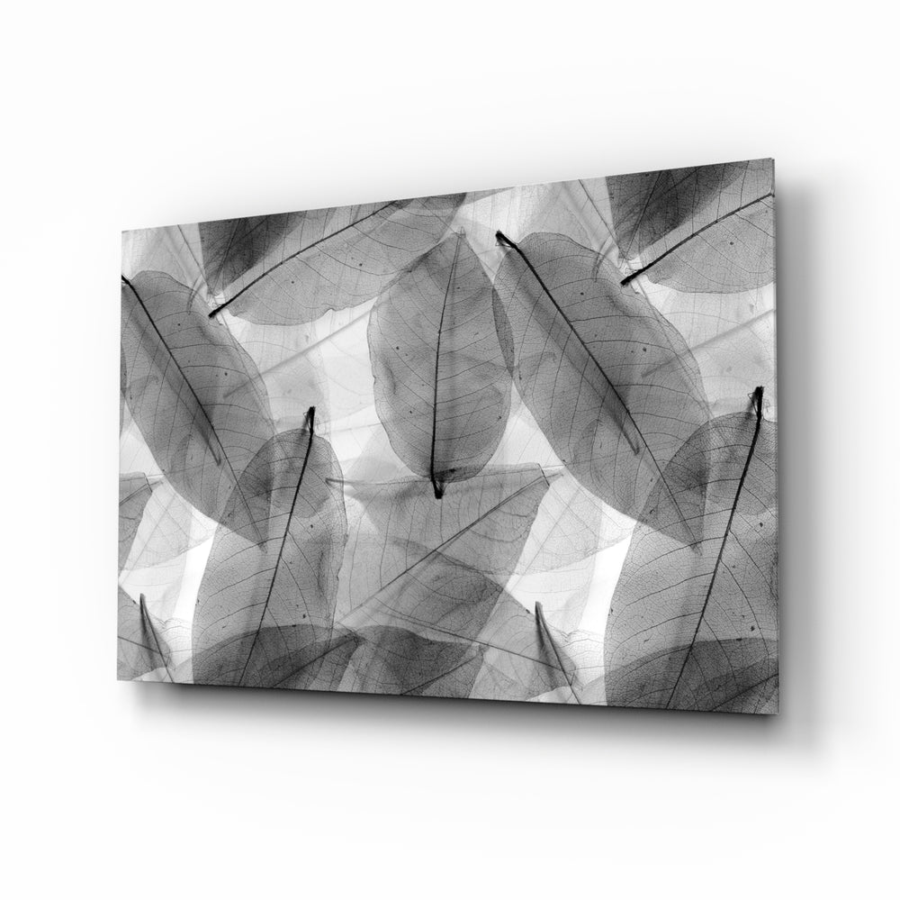 Monochrome leaf skeleton panel bringing graphic nature to a living space