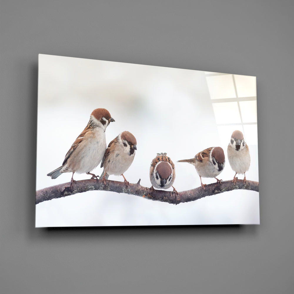 Close-up detail of five sparrows lined along a winter branch