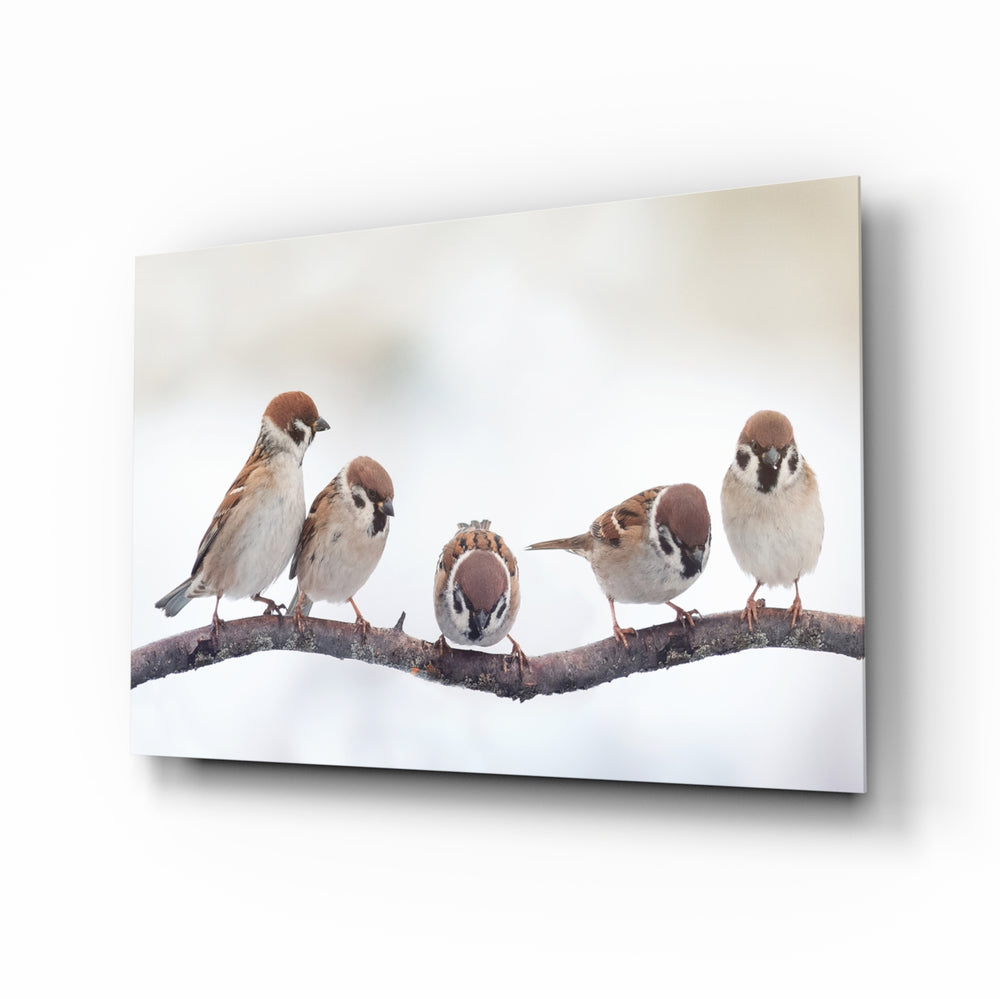 Winter sparrows panel bringing gentle wildlife to a contemporary living space