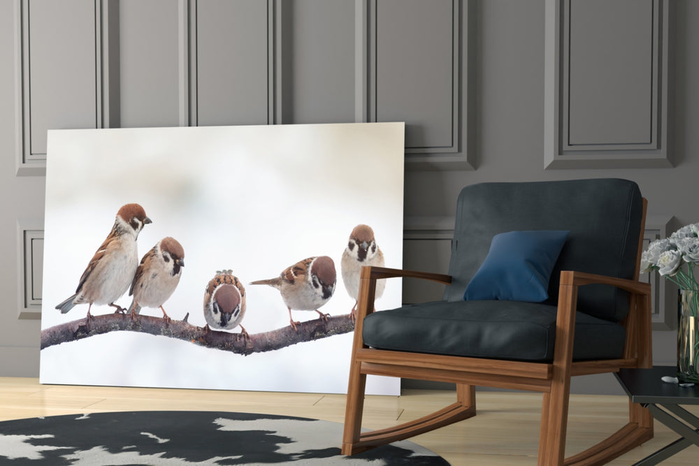 Birds artwork bringing wildlife delight to a welcoming hallway