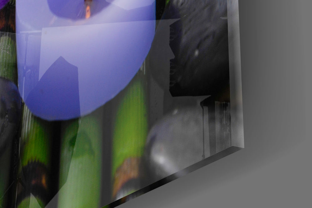 Spa panel catching warm light to reveal its zen palette