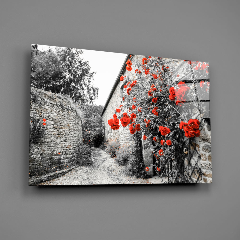 Close-up detail of climbing red roses against a grayscale stone wall
