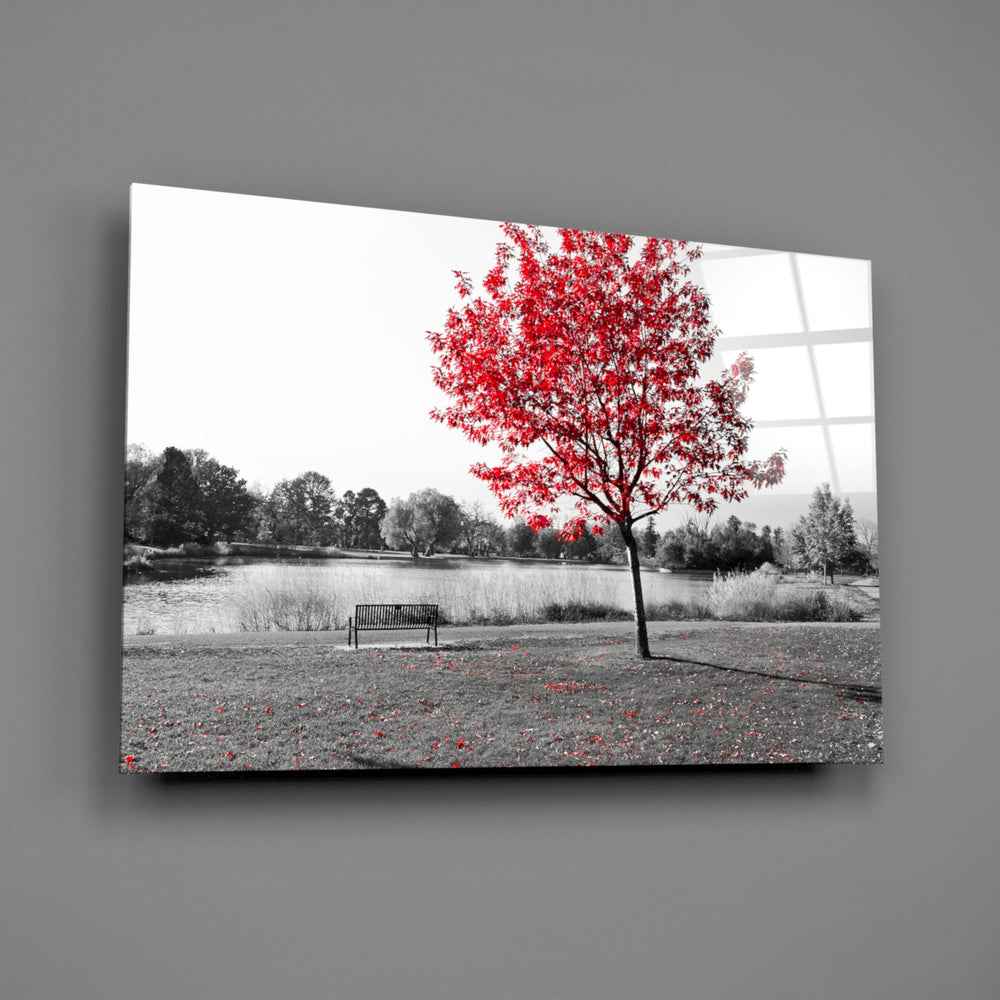 Close-up detail of the red maple against a grayscale park scene