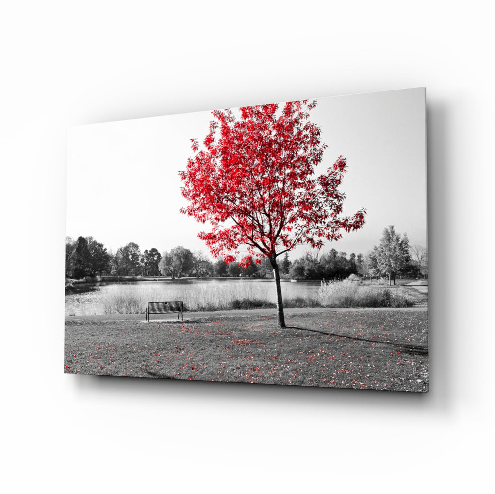 Red Tree park panel bringing autumn warmth to a contemporary living space