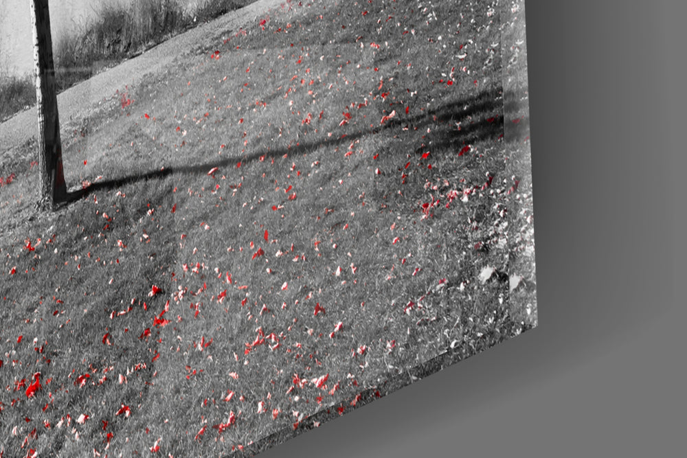 Red Tree panel catching daylight to reveal its scarlet canopy