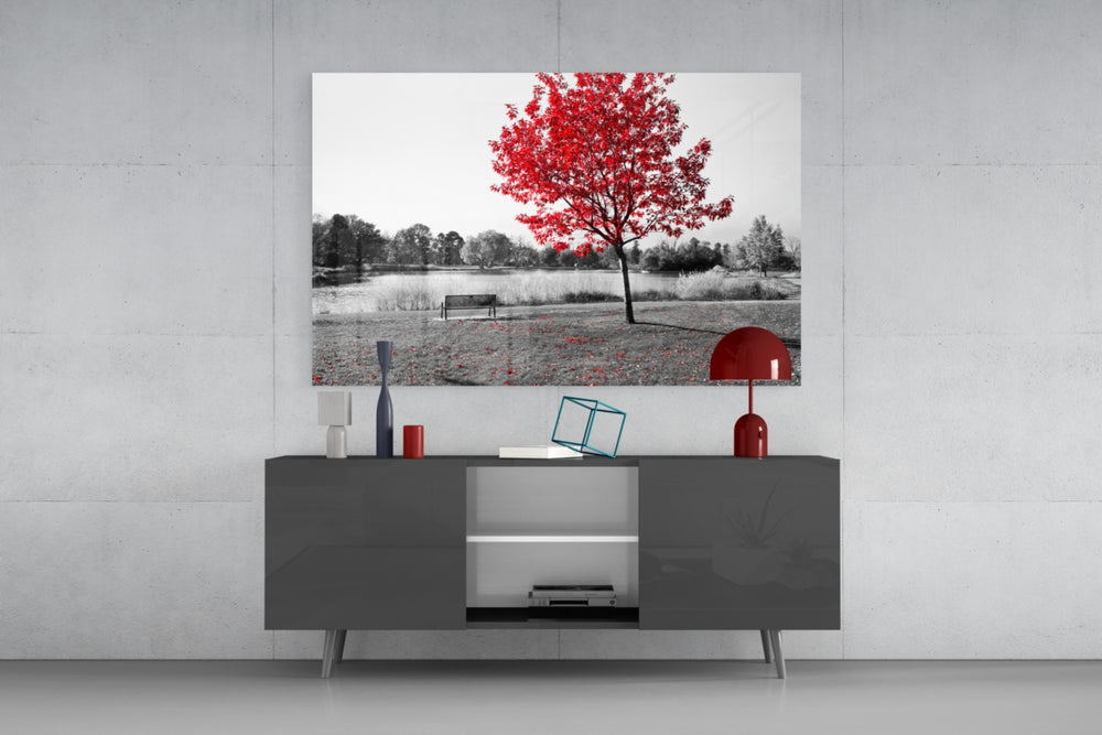 Fine art selective color photography – lone red-leafed tree beside park bench with lake and monochrome woodland background
