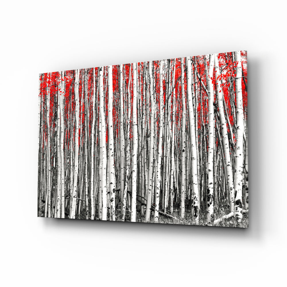 Birch forest panel bringing vertical calm to a contemporary living space