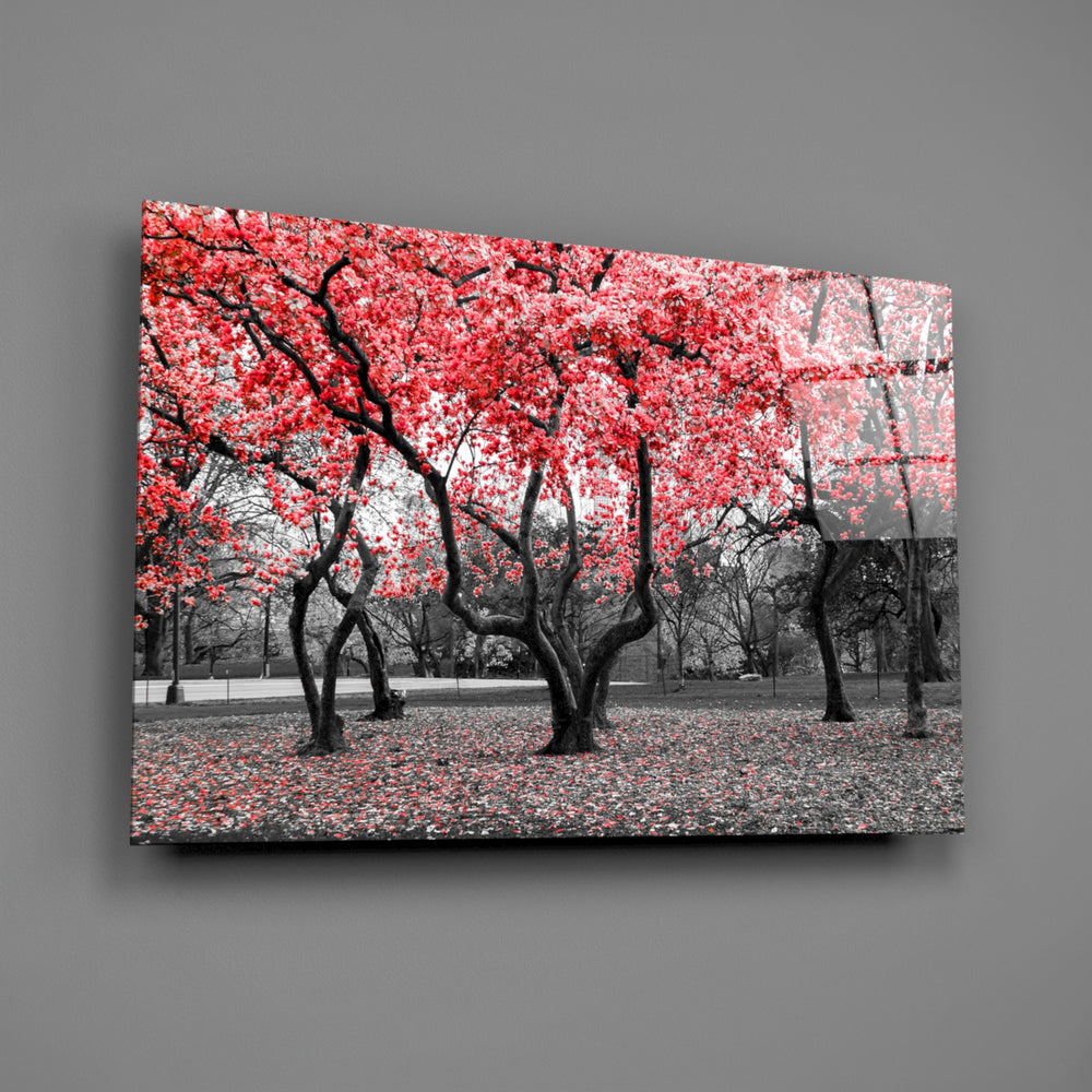 Close-up detail of red canopies above black trunks in a grayscale park