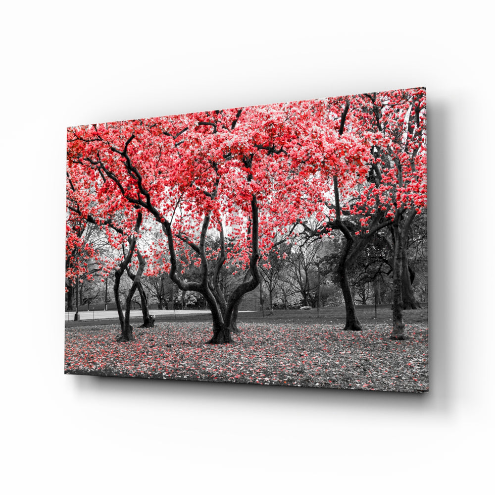 Red Tree park panel bringing poetic color to a contemporary living space