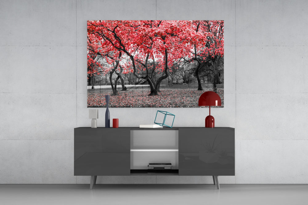 Fine art photography – grove of gnarled trees in full vivid red autumn foliage, selective color against desaturated park landscape