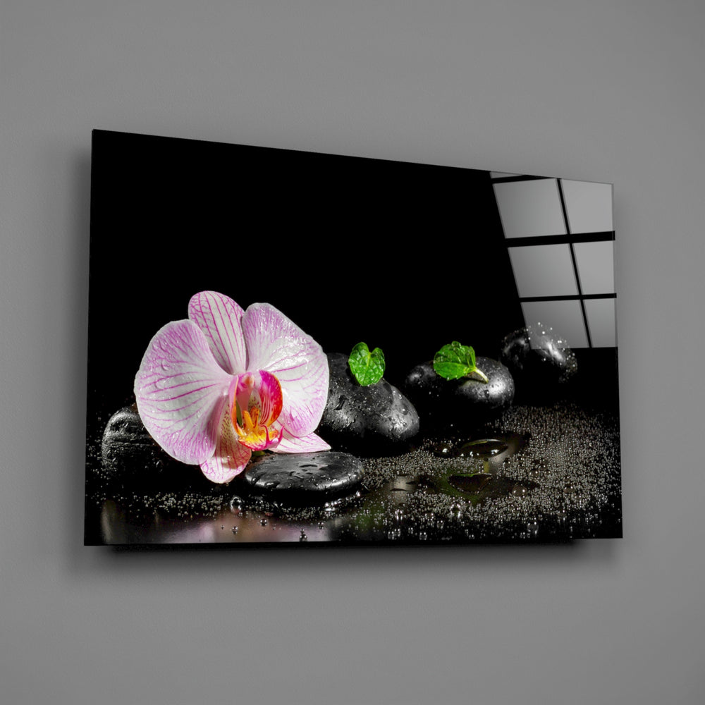 Close-up detail of the pink orchid on black stones with green leaves