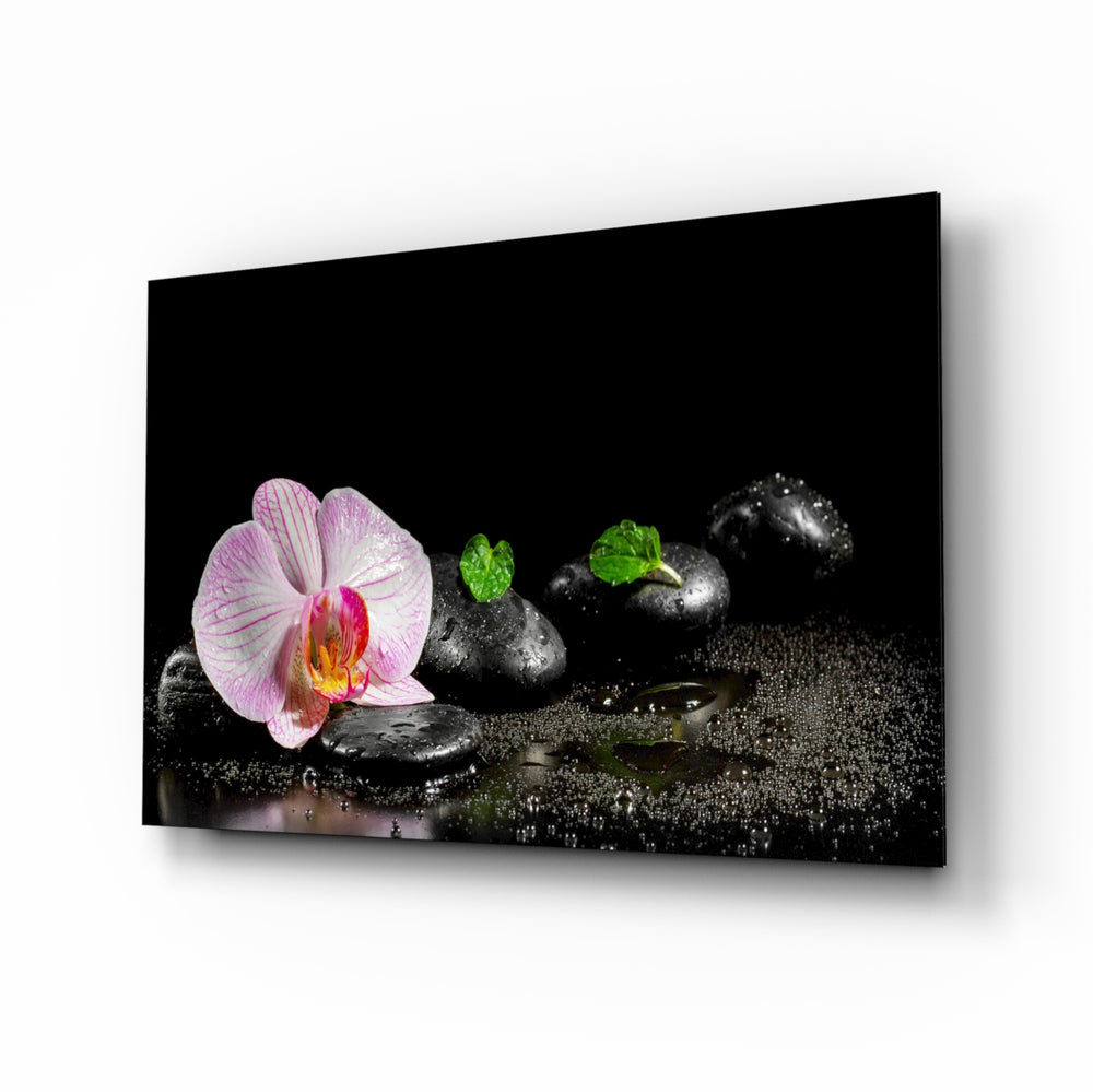 Pink orchid spa panel bringing wellness calm to a contemporary living space