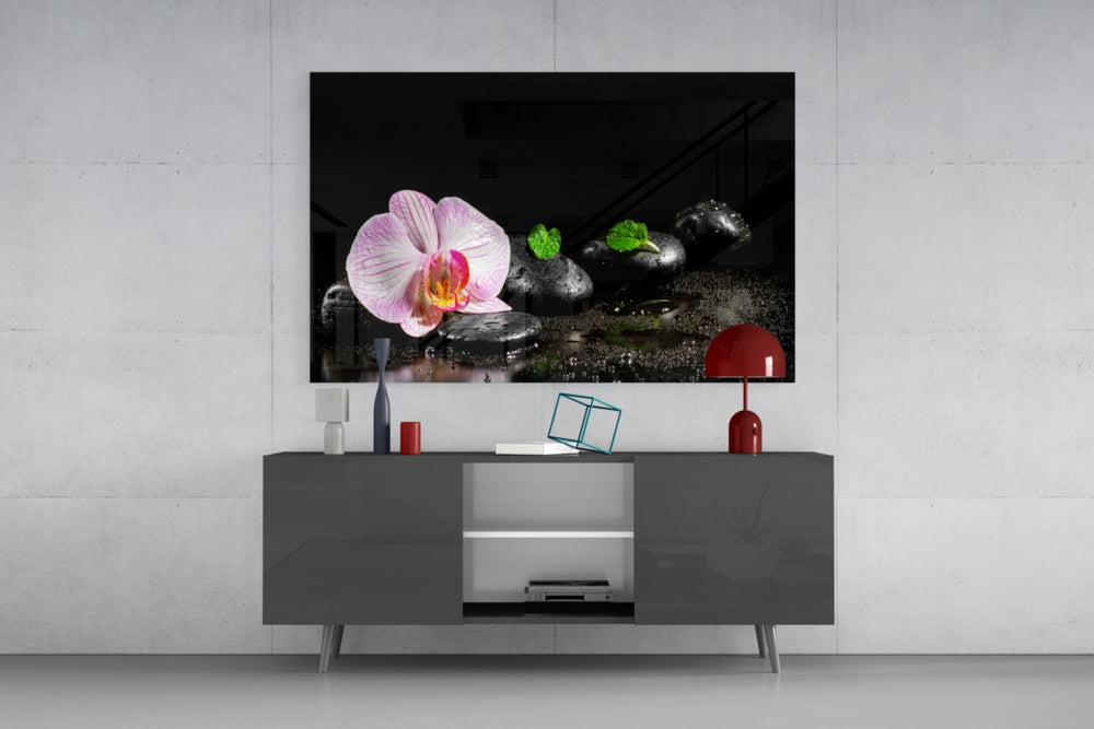 Still life fine art – delicate pink orchid blossom on glistening black zen stones with fresh mint leaves and water droplets