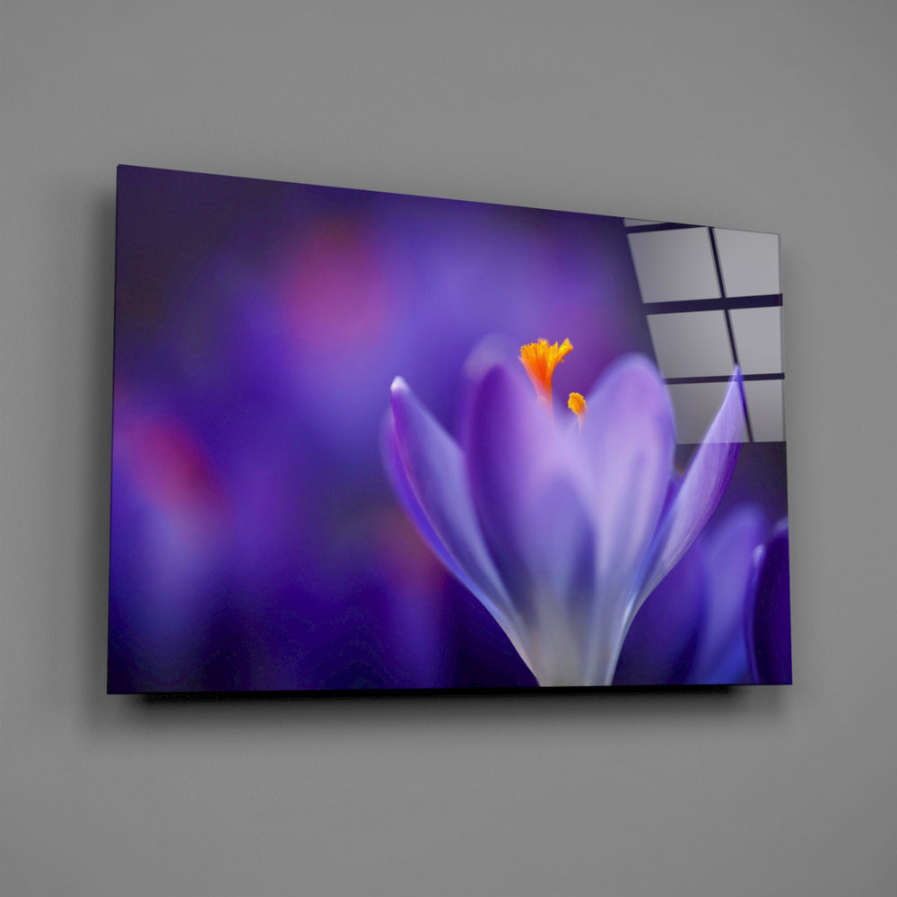Close-up detail of purple petals and orange stamens against bokeh background