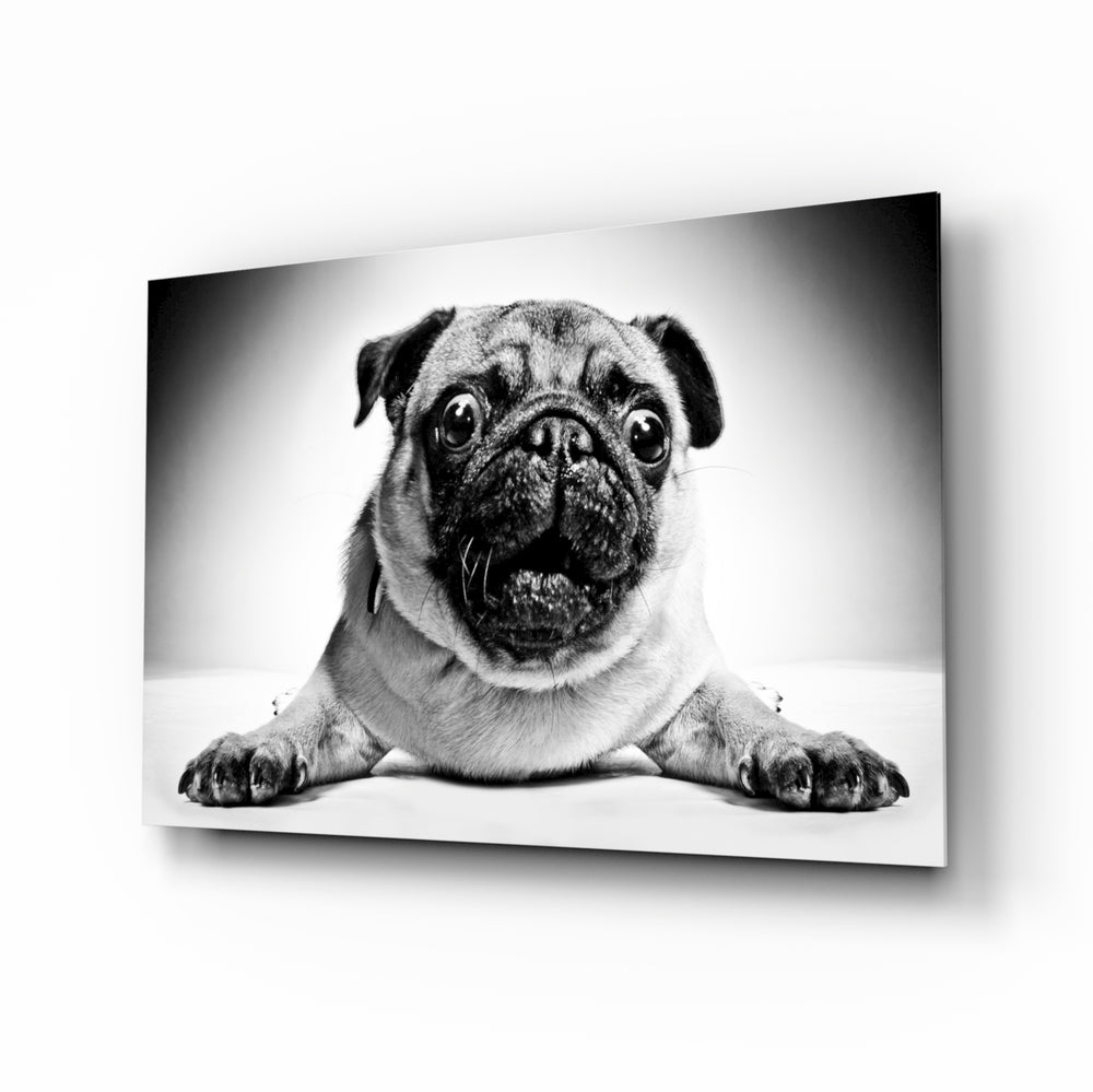 Pug portrait panel bringing warm humor to a contemporary living space