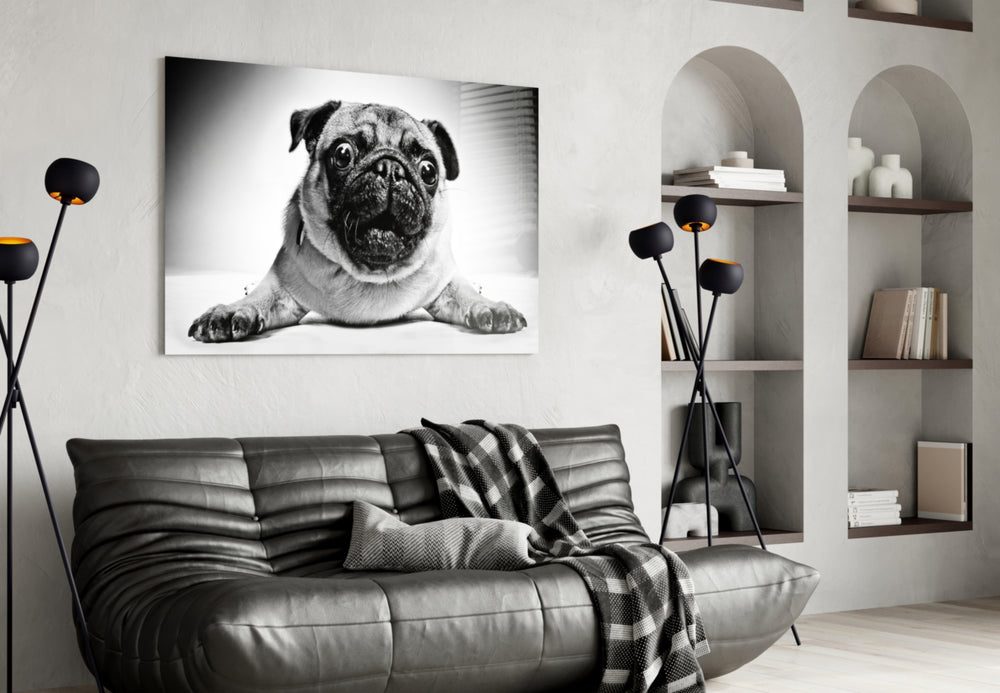 Pug panel adding daily charm to a home office wall
